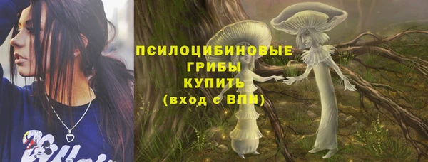 соль ск Аркадак